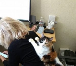 My Favorite Masseuse